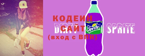 мдпв Заводоуковск