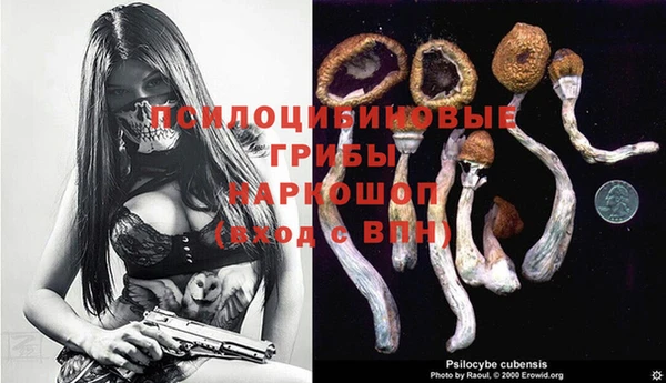 сатива Заволжск