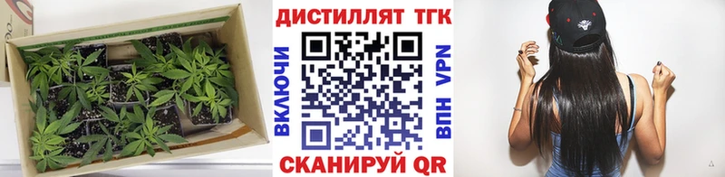 Купить  Железногорск-Илимский  Дистиллят ТГК гашишное масло 
